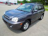 2006 Steel Blue Hyundai Santa Fe Limited 4WD #65307155