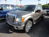 2012 Sterling Gray Metallic Ford F150 XLT SuperCab 4x4 #65307102