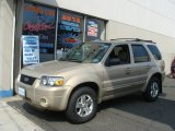 2007 Dune Pearl Metallic Ford Escape Limited 4WD #65307378