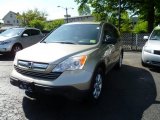 2007 Borrego Beige Metallic Honda CR-V EX 4WD #65362023