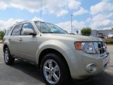 2010 Ford Escape Limited V6