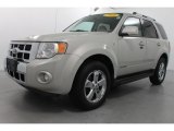 2008 Light Sage Metallic Ford Escape Limited 4WD #65361336
