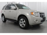 2008 Ford Escape Limited 4WD Front 3/4 View