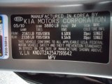 2010 Soul Color Code for Titanium Gray - Color Code: IM