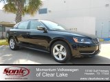 2012 Volkswagen Passat 2.5L SE