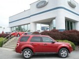 2012 Toreador Red Metallic Ford Escape XLT V6 4WD #65480800