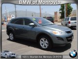 2011 Dolphin Gray Mica Mazda CX-9 Touring #65481298