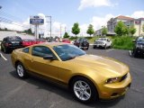 2010 Sunset Gold Metallic Ford Mustang V6 Coupe #65553531