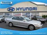 2004 Brilliant Silver Hyundai Sonata V6 #65553489