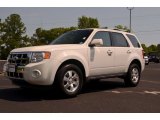2010 White Suede Ford Escape Limited V6 #65612376