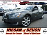 2006 Nissan Maxima 3.5 SE