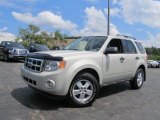 2009 Ford Escape XLT V6 4WD