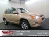 2009 Sandy Beach Metallic Toyota RAV4 Limited #65612310