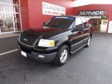 2003 Black Clearcoat Ford Expedition XLT #65681150