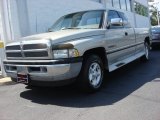 1996 Dodge Ram 1500 Driftwood Pearl