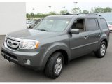Nimbus Gray Metallic Honda Pilot in 2009