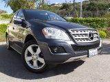 2010 Steel Grey Metallic Mercedes-Benz ML 350 #65753020