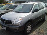 2005 Platinum Metallic Buick Rendezvous CX #6571550