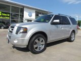 2010 Ingot Silver Metallic Ford Expedition Limited #65853374