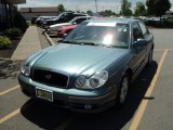 2005 Celadon Green Hyundai Sonata LX V6 #65853600