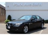 2009 BMW 5 Series 528xi Sedan