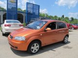 2006 Spicy Orange Chevrolet Aveo LS Hatchback #65853182