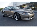 2002 Mineral Grey Metallic Ford Mustang Saleen S281 Supercharged Coupe #65915710