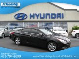 2011 Midnight Black Hyundai Sonata Limited #65915620