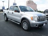 2010 Ingot Silver Metallic Ford F150 XLT SuperCrew 4x4 #65915616