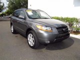 2009 Hyundai Santa Fe SE