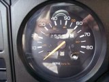 1983 Pontiac Firebird Trans Am 25th Anniversary Daytona 500 Pace Car Coupe Gauges