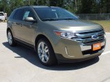 Ginger Ale Metallic Ford Edge in 2012