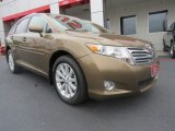 2009 Golden Umber Mica Toyota Venza I4 #65970406