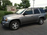 2009 Graystone Metallic Chevrolet TrailBlazer LT 4x4 #65970701