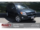 2012 Black Forest Pearl Toyota RAV4 Limited 4WD #65970231