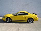 2004 Screaming Yellow Ford Mustang Mach 1 Coupe #65970552