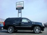 2009 Black Raven Cadillac Escalade AWD #6560596