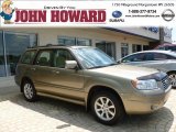 2008 Topaz Gold Metallic Subaru Forester 2.5 X #65970877