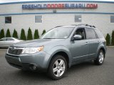 2009 Sage Green Metallic Subaru Forester 2.5 X Limited #66043751