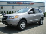 2008 Hyundai Santa Fe GLS