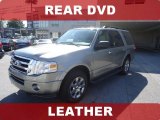 Vapor Silver Metallic Ford Expedition in 2009