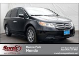 2012 Crystal Black Pearl Honda Odyssey EX-L #66043478