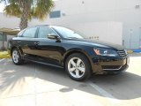 2012 Volkswagen Passat 2.5L SE