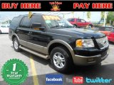 2003 Black Clearcoat Ford Expedition Eddie Bauer #66080354