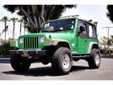 2004 Jeep Wrangler SE 4x4 Front 3/4 View