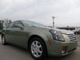 2005 Silver Green Cadillac CTS Sedan #66122139