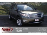 2012 Cypress Green Pearl Toyota Highlander SE 4WD #66121645