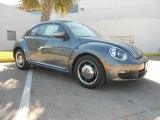 2012 Platinum Gray Metallic Volkswagen Beetle 2.5L #66122547