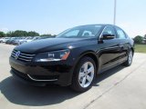 2012 Volkswagen Passat 2.5L SE