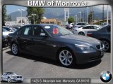 2010 Platinum Grey Metallic BMW 5 Series 528i Sedan #66207840